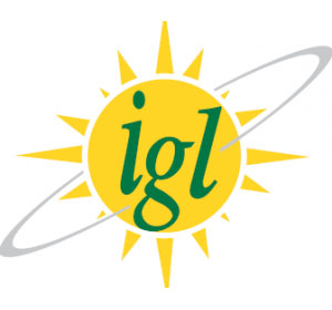 Indraprastha Gas appoints M S Gulati as CFO