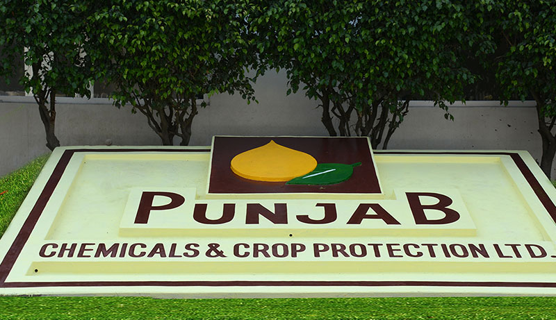 V K Gupta appointed CEO of Punjab Chemicals