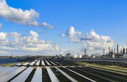 Sustainability