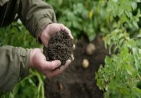 Sustainability