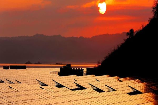 Sustainability