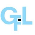 GFL appoints Dhiren Asher as CFO