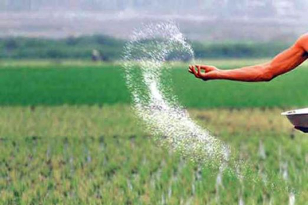 Fertilizer