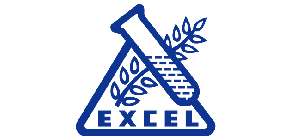 Excel