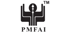 PMFAI