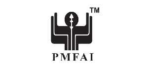 PMFAI