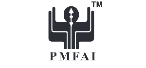 PMFAI