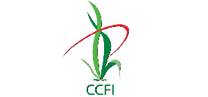 CCFI