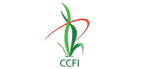 CCFI